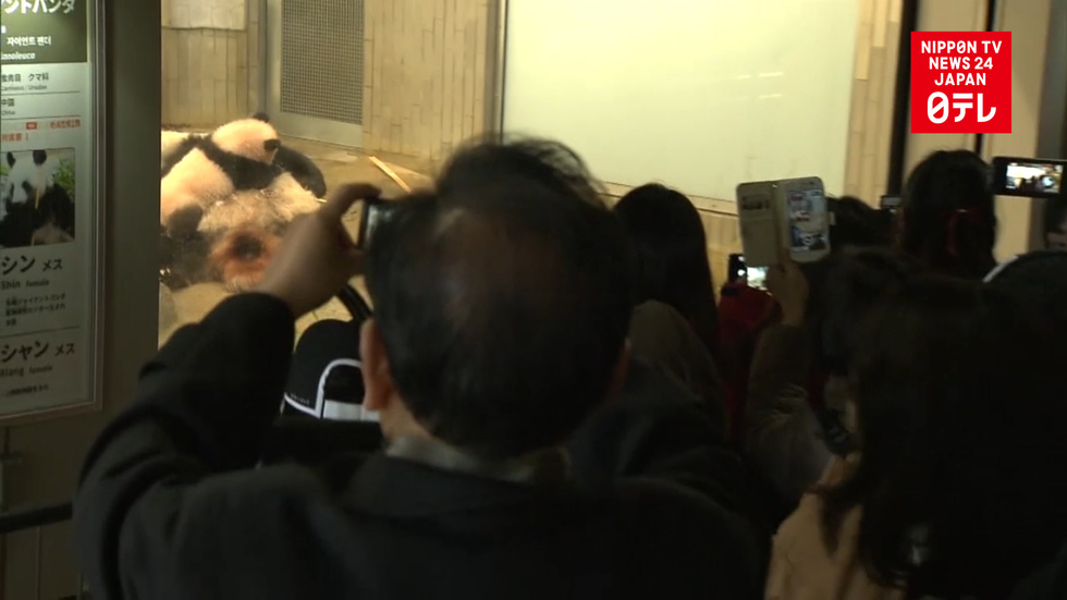 Giant panda cub shown to public in Tokyo