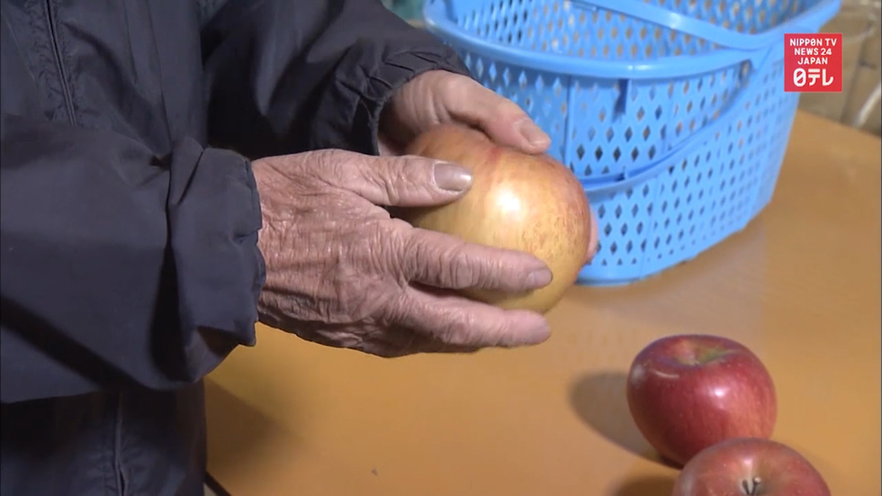 Global warming's effect on crops