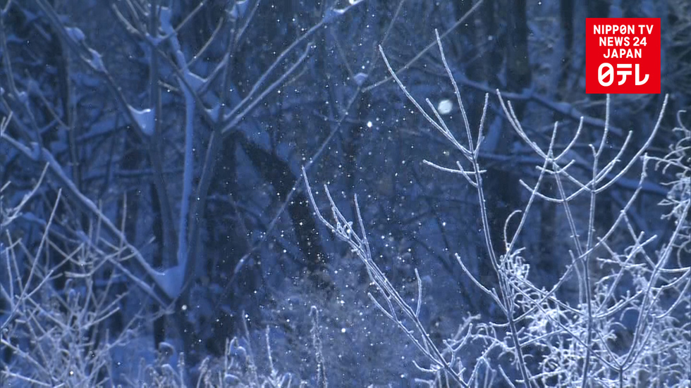 Coldest day of season