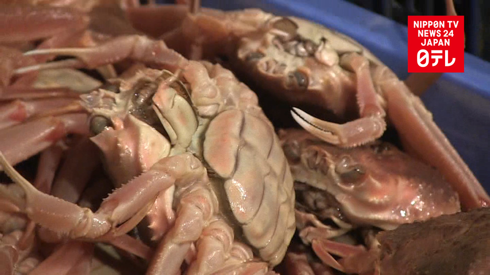 Crab season kicks off