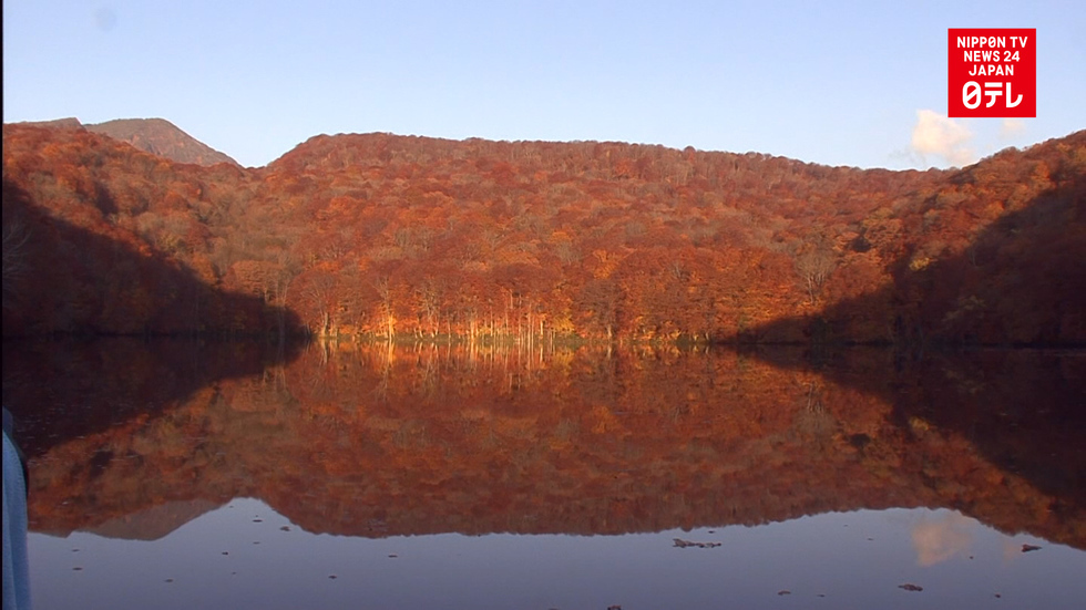 Fall foliage reflected in lake  