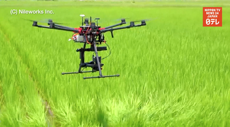 AI drone could revolutionize rice farming 