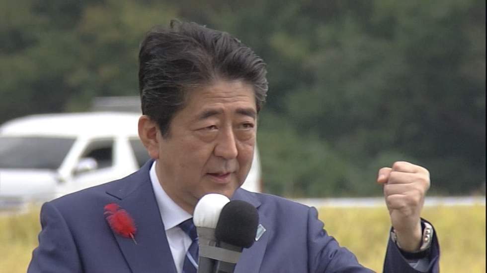 Lower House campaigning begins