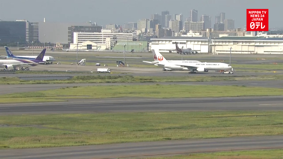 Dog escapes from an aircraft