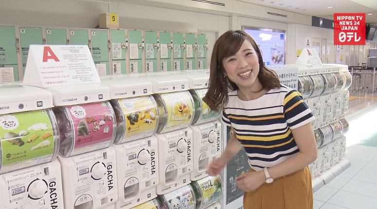 'Gacha-gacha' toy machines enliven airport 