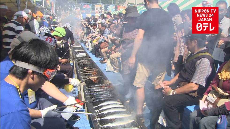 Sorry saury catch putting festivals in pinch