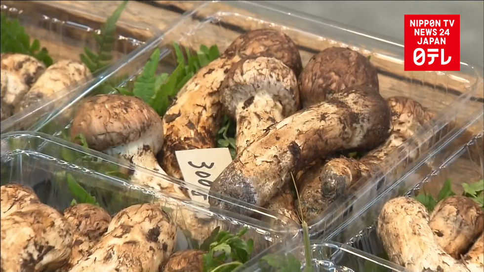 The taste of fall is here