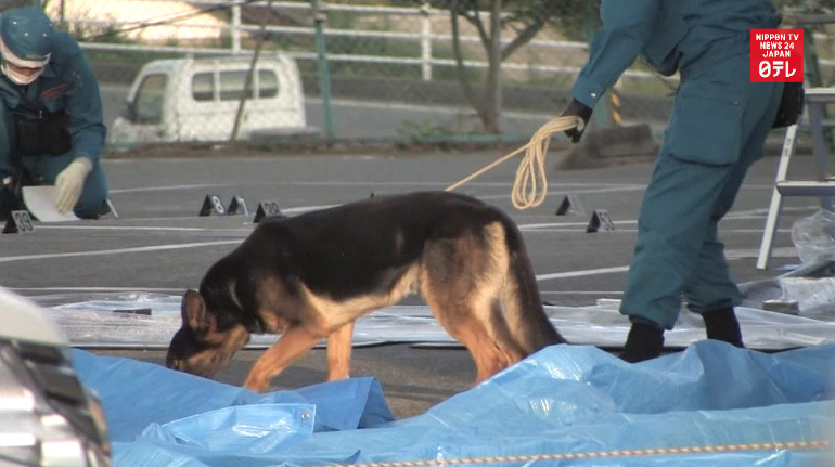 Yakuza arrested in suspected gangland killing