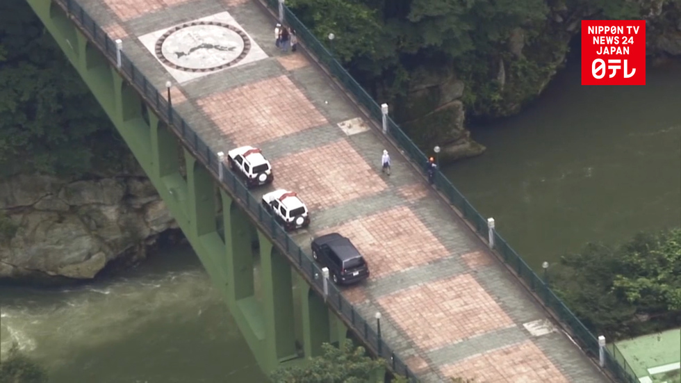 Man missing after rushing to help son who dropped from bridge