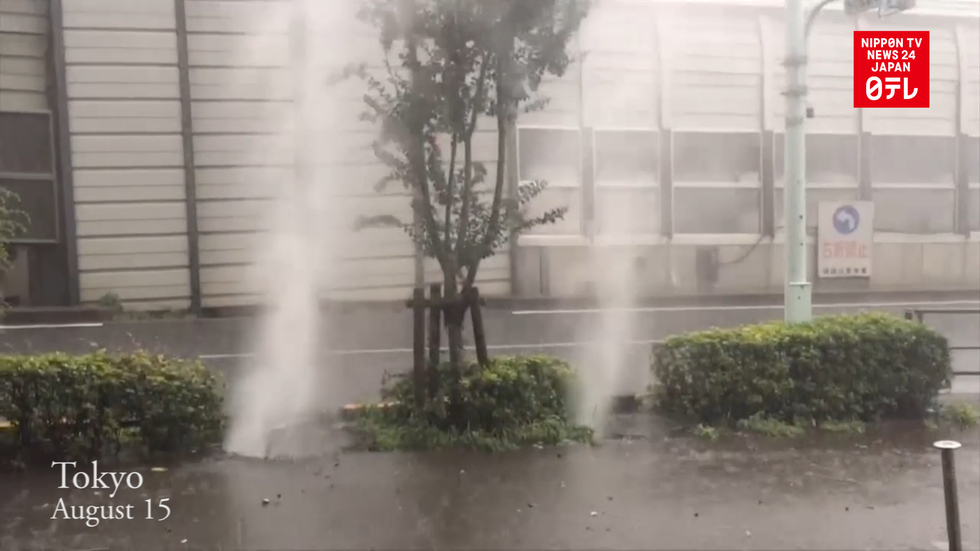 Torrential downpour hits Tokyo and vicinity