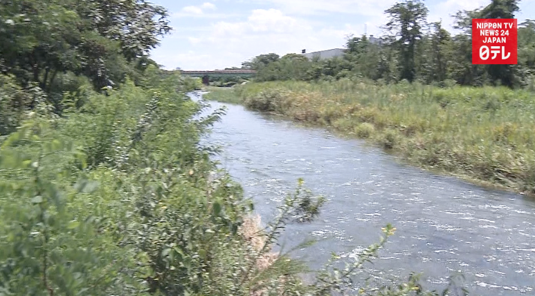 Man busted for growing pot in Tokyo 