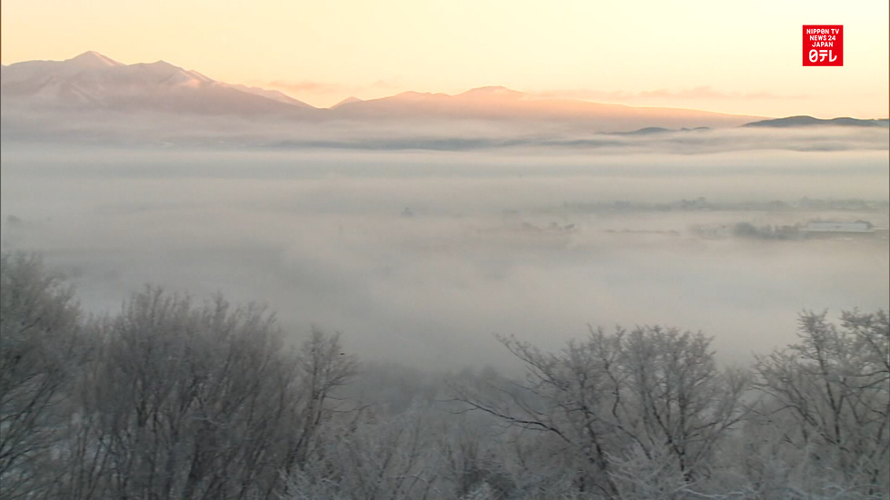 Winter in Hokkaido, summer in Okinawa