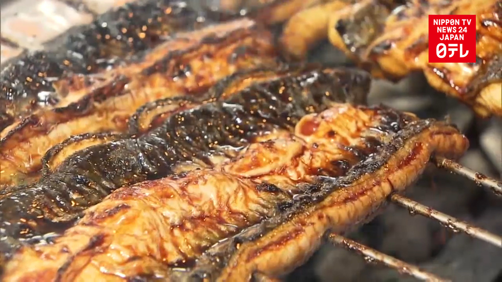 Japanese feast on eel
