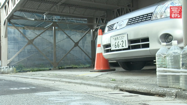 Grisly cat slayings confound Tokyo police