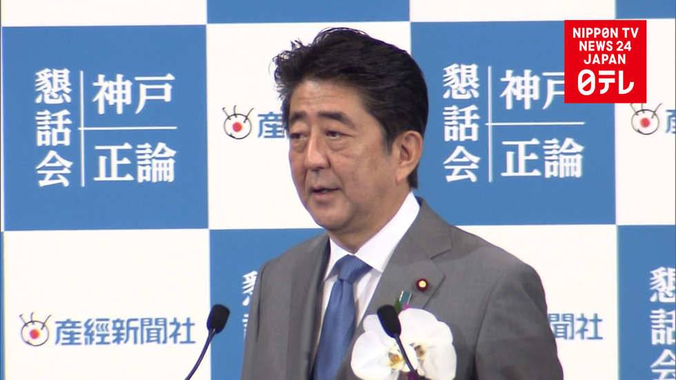 Abe announces constitutional revision plan
