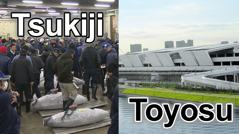 KOIKE'S DOUBLE VISION