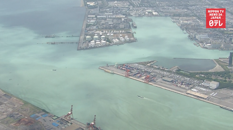 Tokyo Bay turns bluish white 