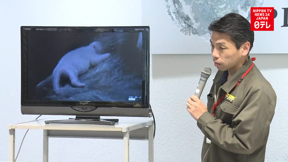 Panda baby attracts visitors to Ueno Zoo