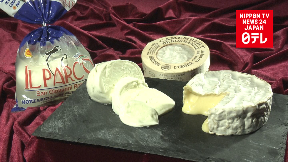 Japan and the EU talk trade