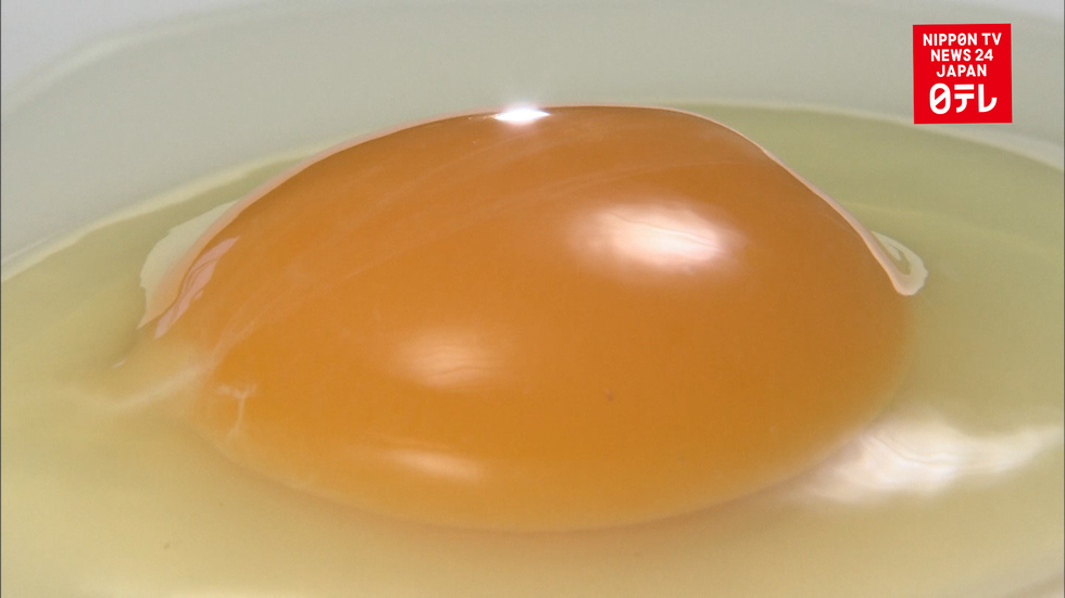 Way to avoid egg allergy found 