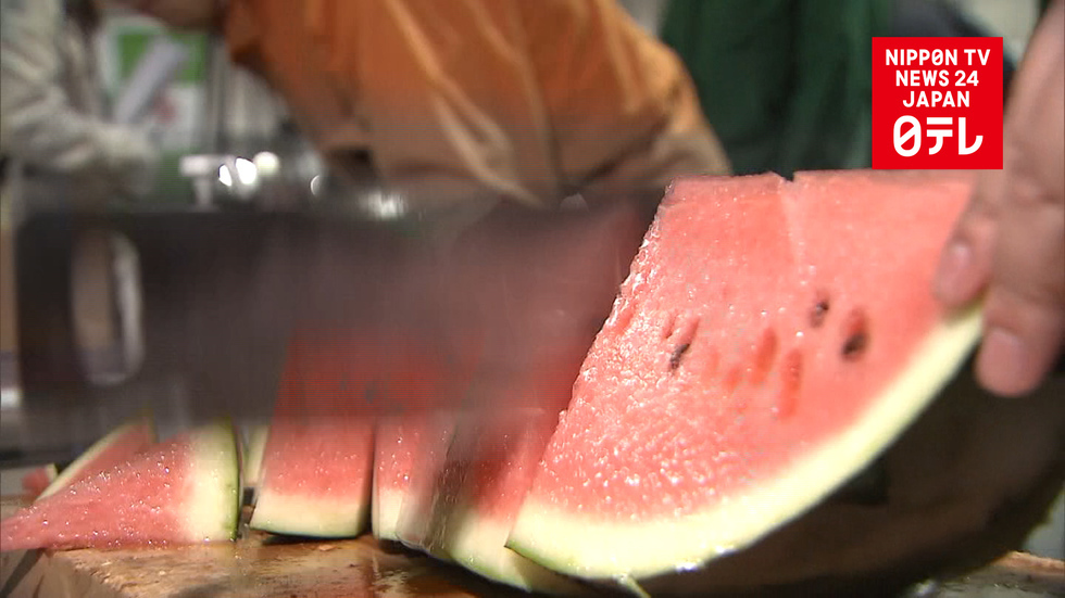 Black watermelon fetches sweet price 