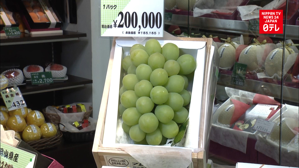 Grapes selling for $1800 per bunch