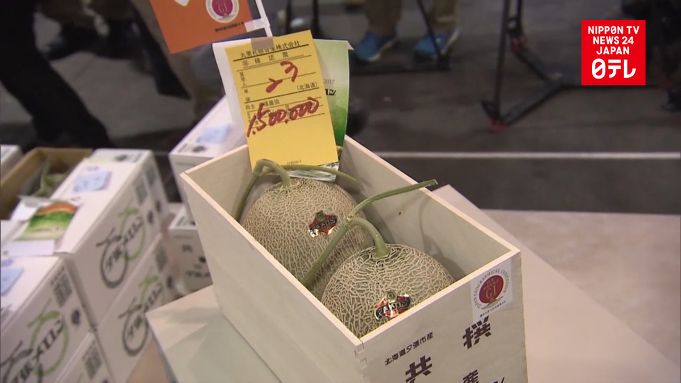 2 Yubari melons fetch 1.5 mil. yen at auction