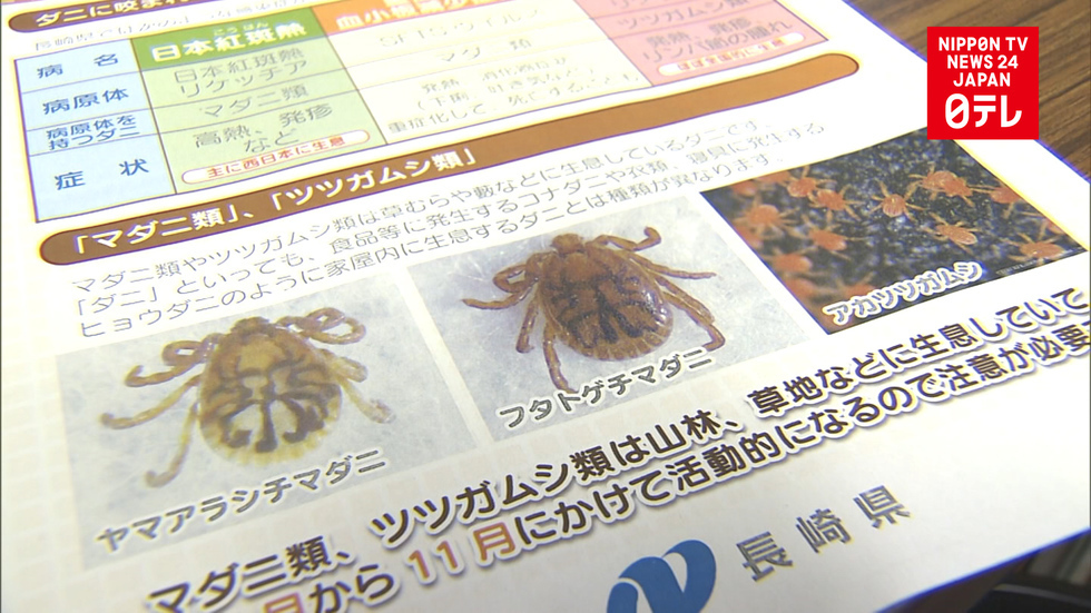 Tick virus kills woman in western Japan