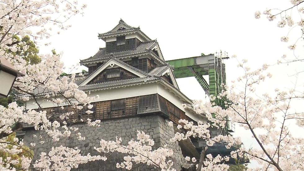 Repairs to Kumamoto Castle just beginning