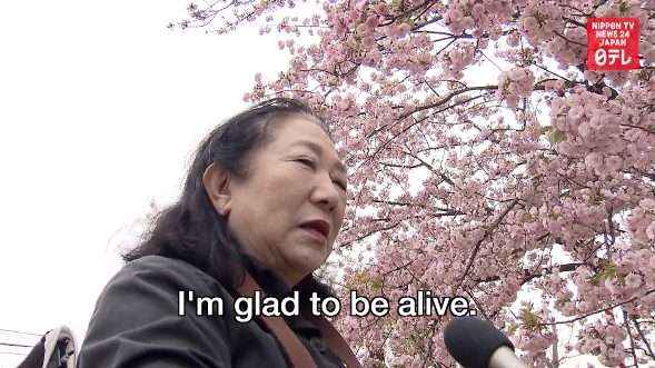 Disabled enjoy cherry blossoms 