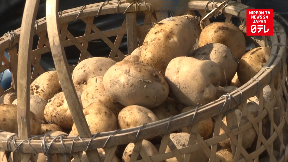 Look out potato chip lovers