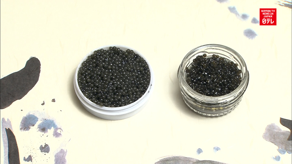 Japan to export caviar