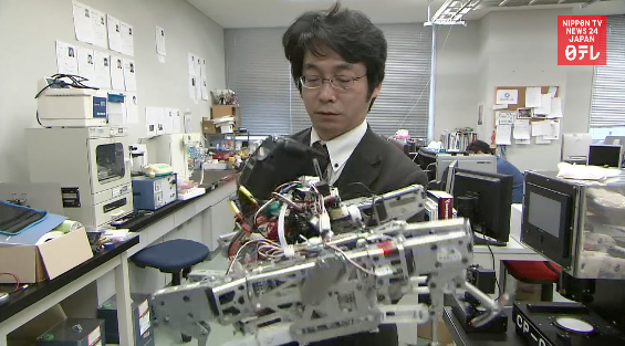 Anti-bear robot developed after surge in attacks 