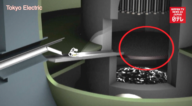 Sasori stranded inside Fukushima No.2 reactor