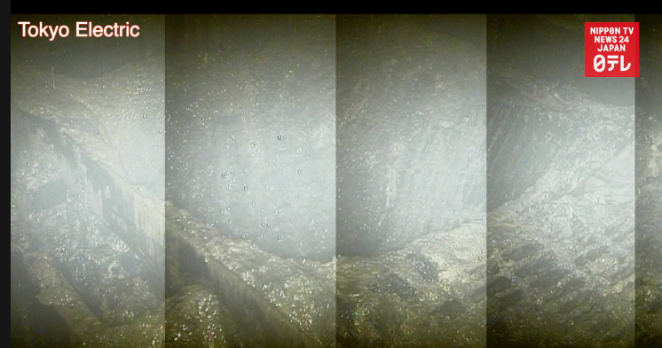 Large hole filmed beneath Fukushima Daiichi No.2 reactor