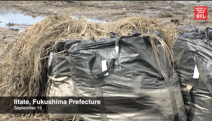 Radioactive waste leaked in floods