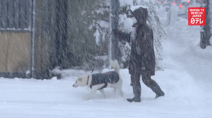 More deep snows bury Sea of Japan coast