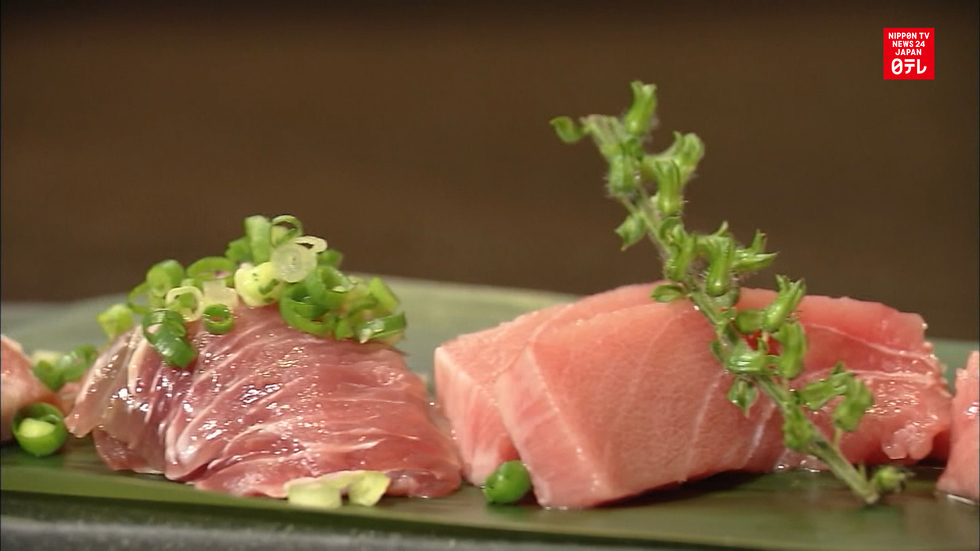 Tuna in Troubled Waters