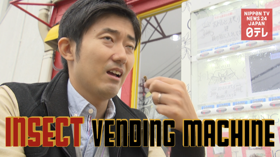 Edible insect vending machine  
