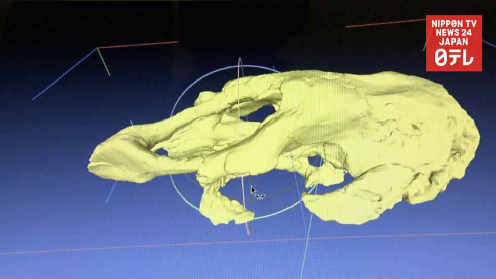 3D printing brings new interest to fossil exhibition