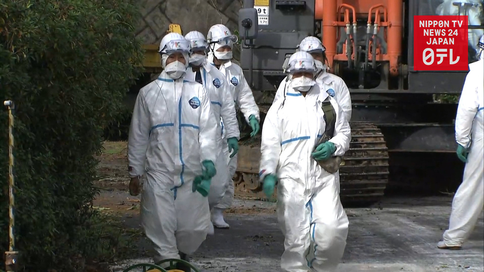 3rd hog cholera case detected in Gifu