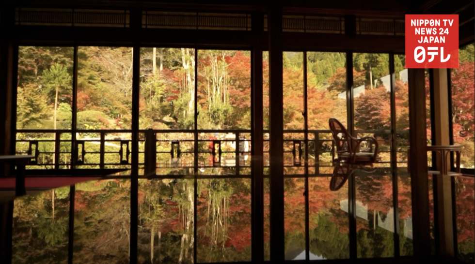 Mirror imagery a growing fascination  