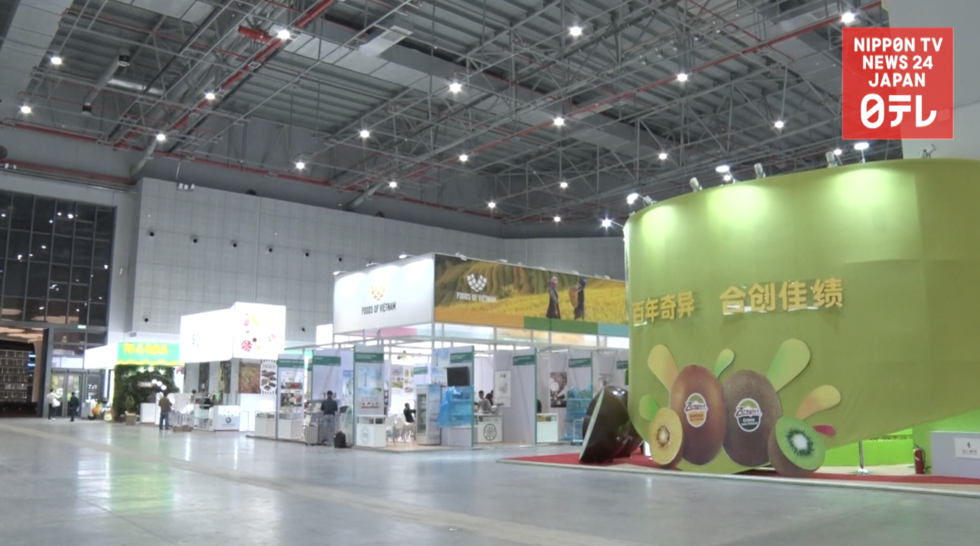 China import expo stresses open market 