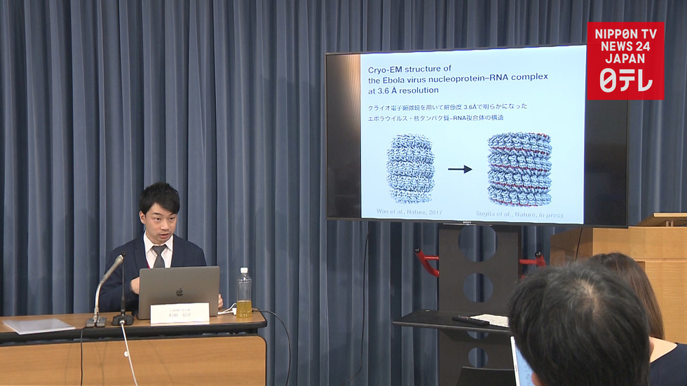 Atomic-level structure of Ebola virus revealed
