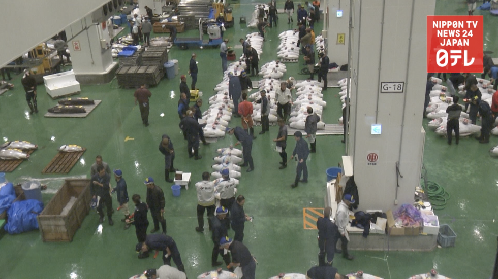 Toyosu market viewing corridor opens 