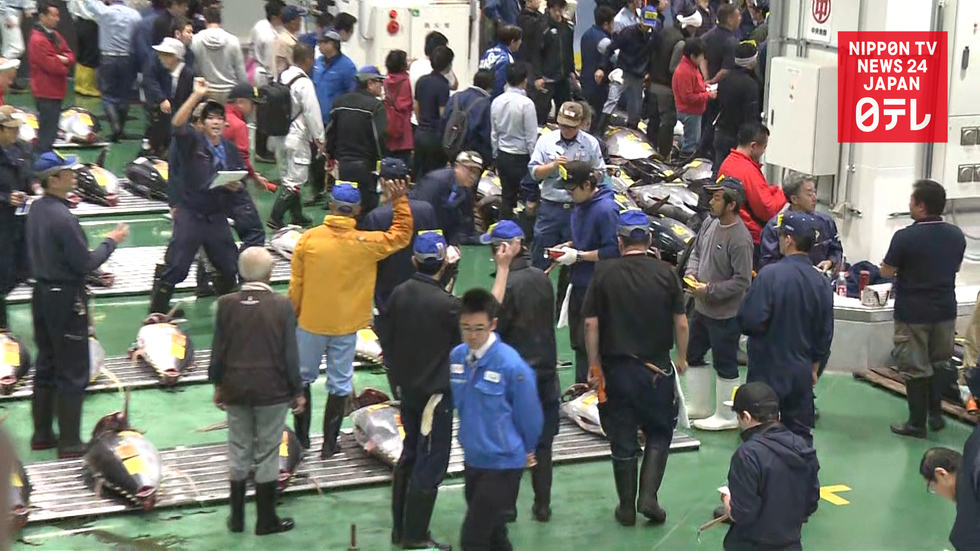 Tokyo's new wholesale market launches