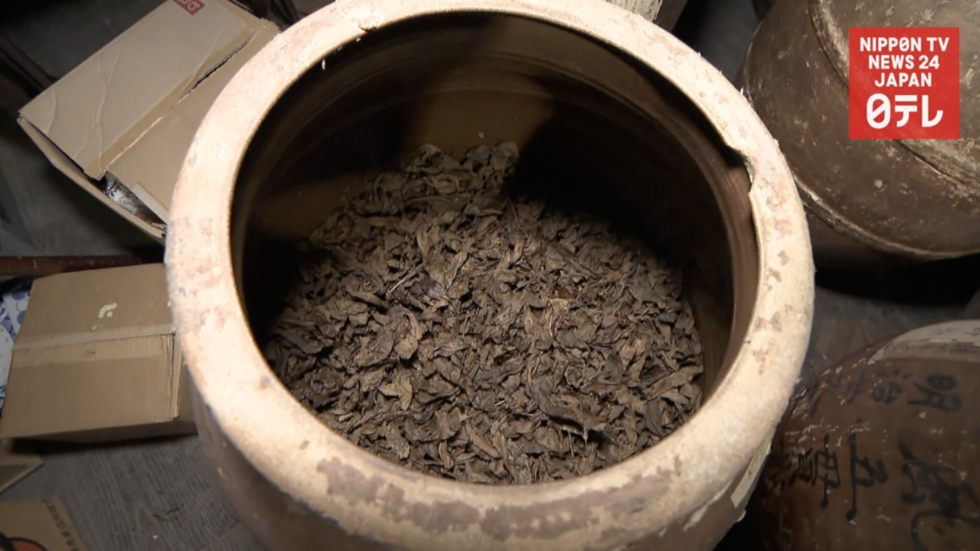 100-year-old tea stands the test of time 