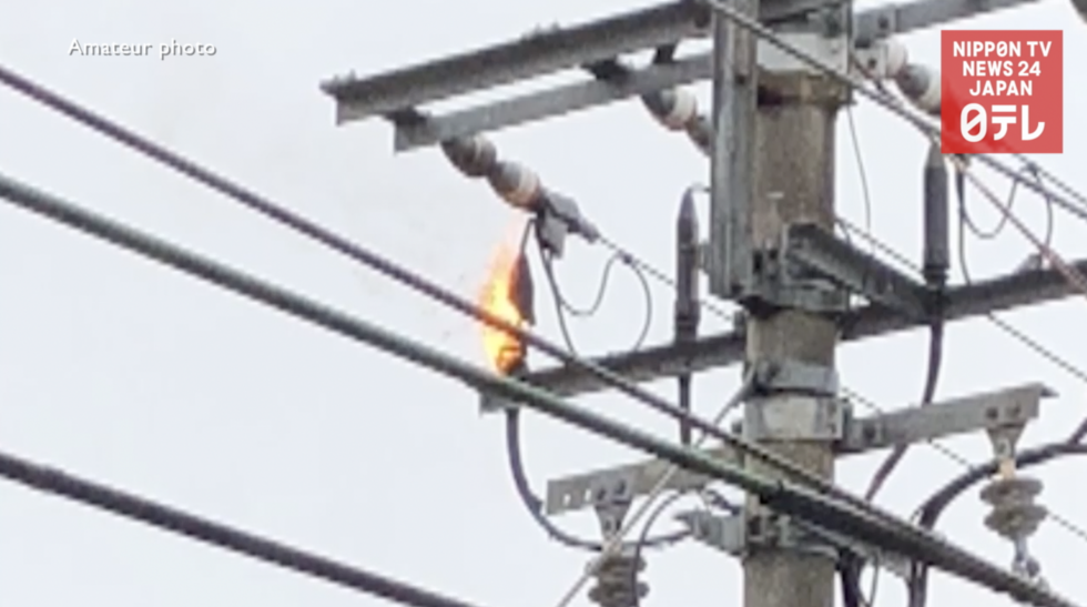 Keisei line suspended, affecting Narita travelers 