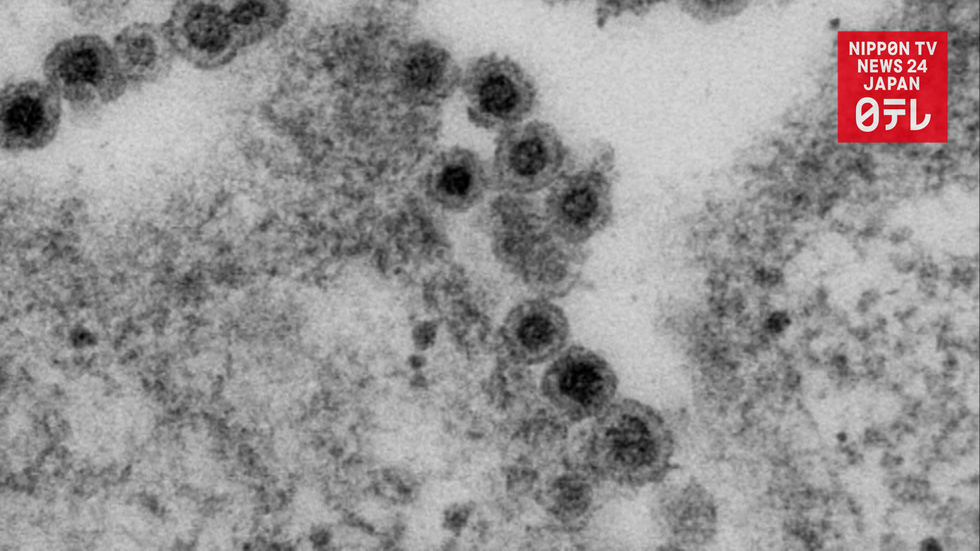 Rubella spreading in metro Tokyo 