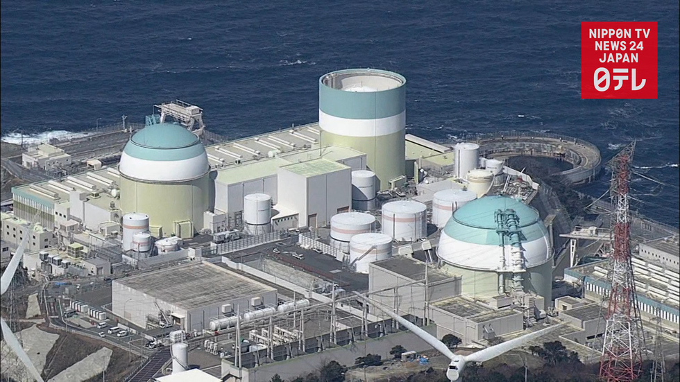 Nuclear plant in western Japan allowed to restart
